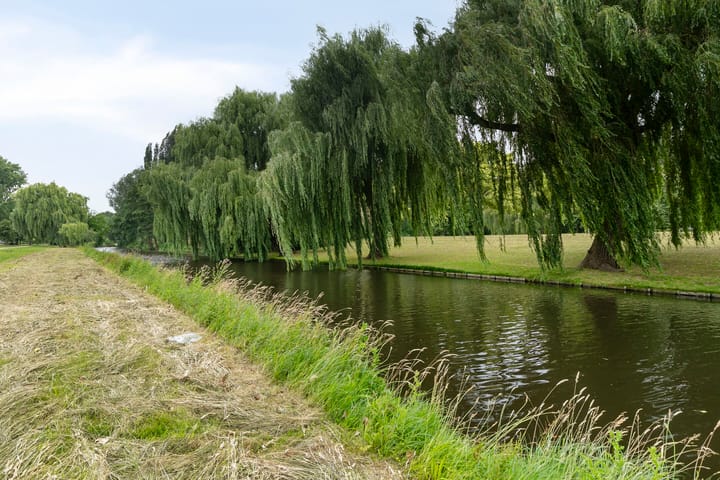 Foto 29 van Nibelungenhof 12