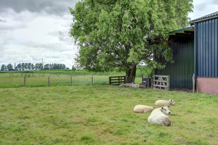 Foto 77 van Breudijk 19