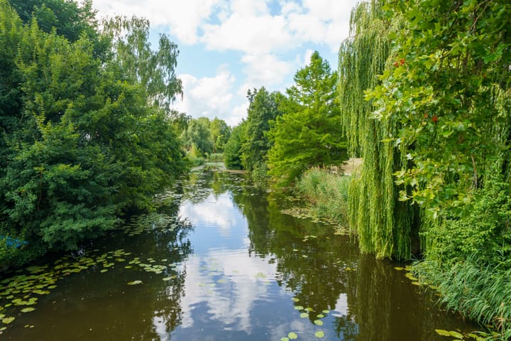 Foto 41 van Kromgouw 62