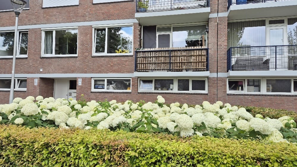 Foto 2 van Academielaan 35