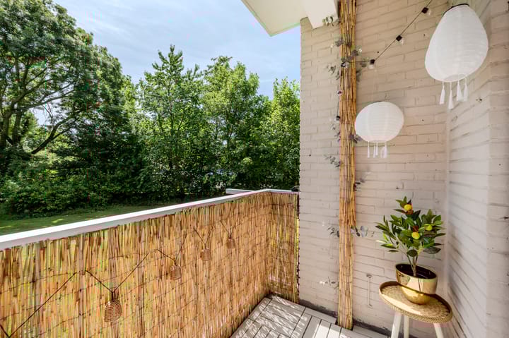 Foto 14 van Bachstraat 36