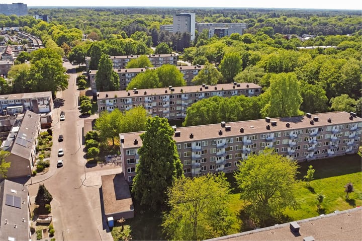 Foto 4 van Europalaan 321