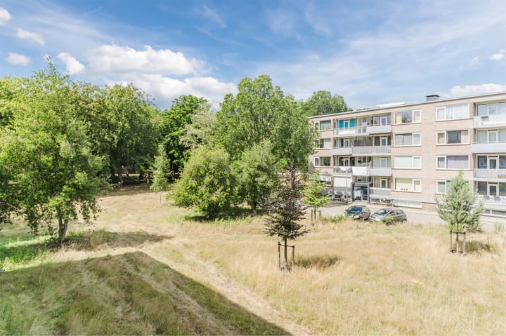 Foto 29 van Europalaan 321