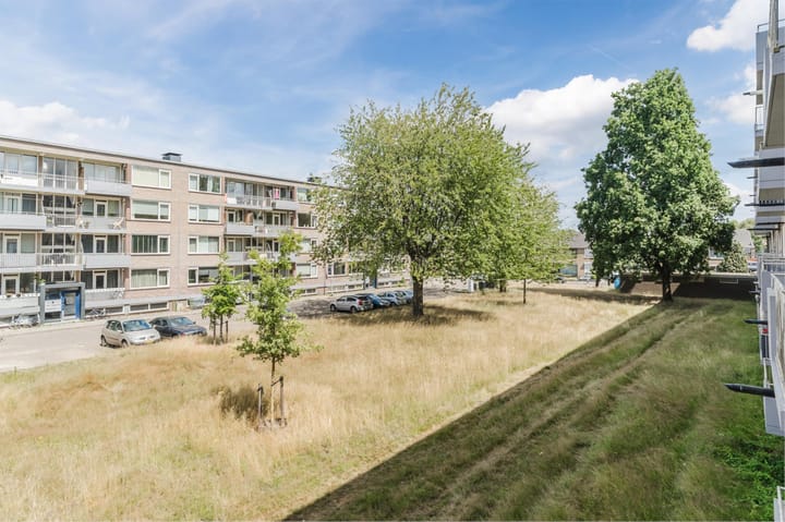 Foto 30 van Europalaan 321