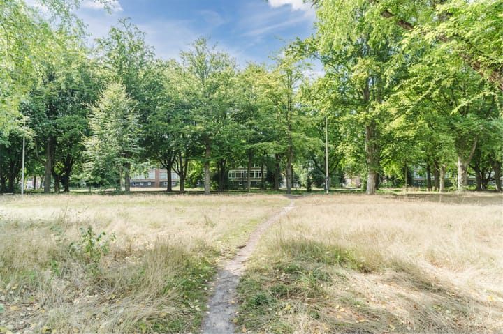 Foto 36 van Europalaan 321