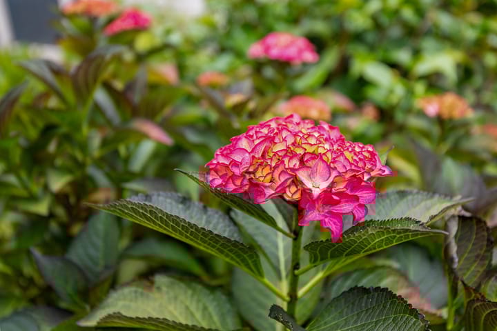 Foto 42 van Maurits Prinsstraat 26