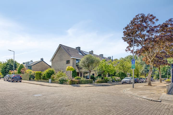 Foto 5 van Viswant 2