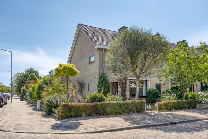 Foto 6 van Viswant 2