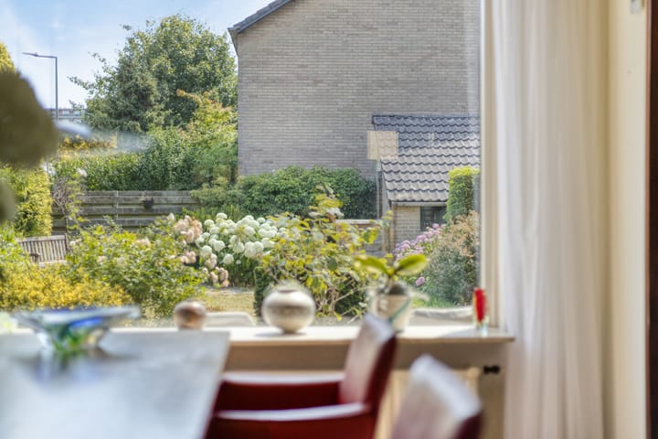 Foto 16 van Viswant 2