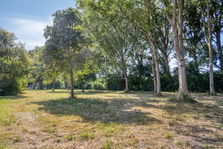 Foto 43 van Viswant 2