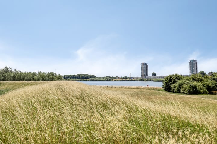 Foto 45 van Viswant 2