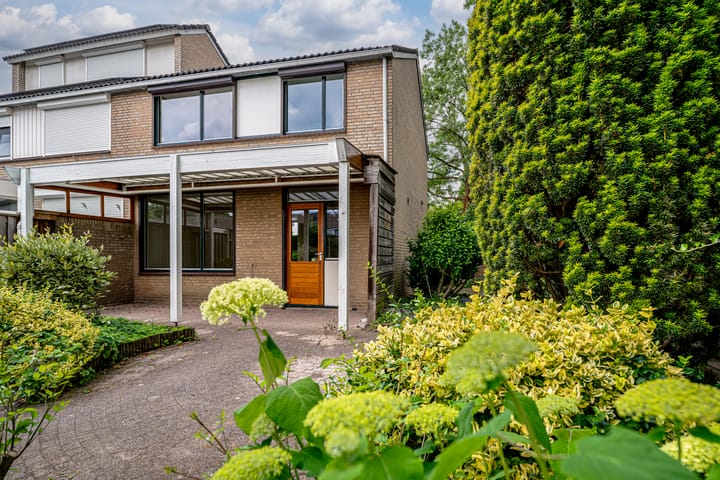 Foto 4 van Zonegge 09 10