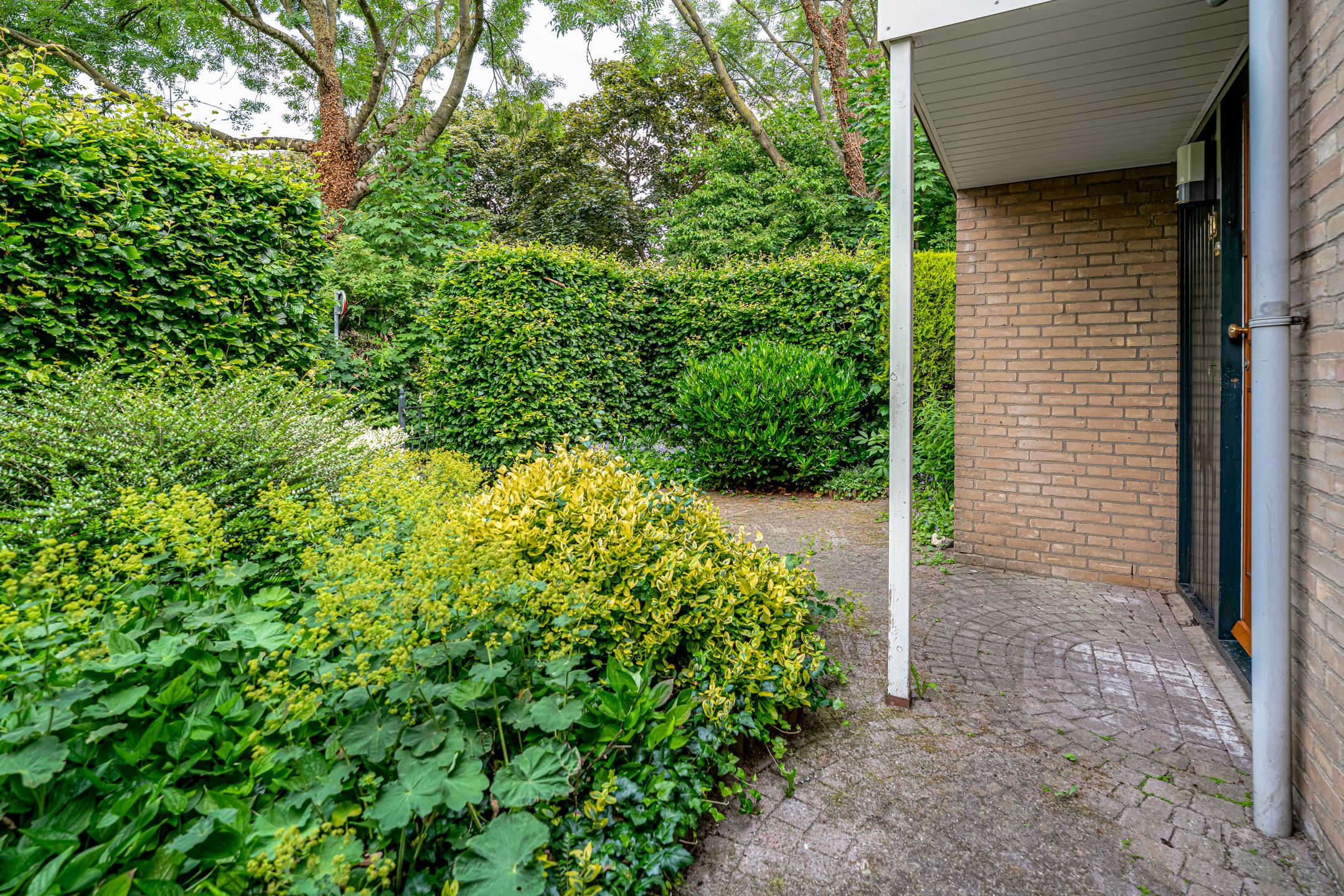 Photo 6 of Zonegge 09 10