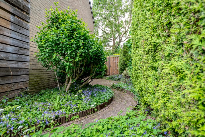 Foto 25 van Zonegge 09 10