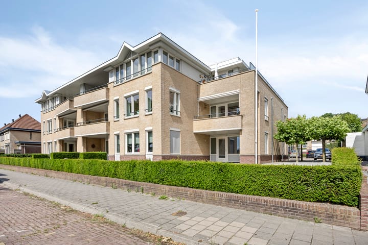 undefined main image