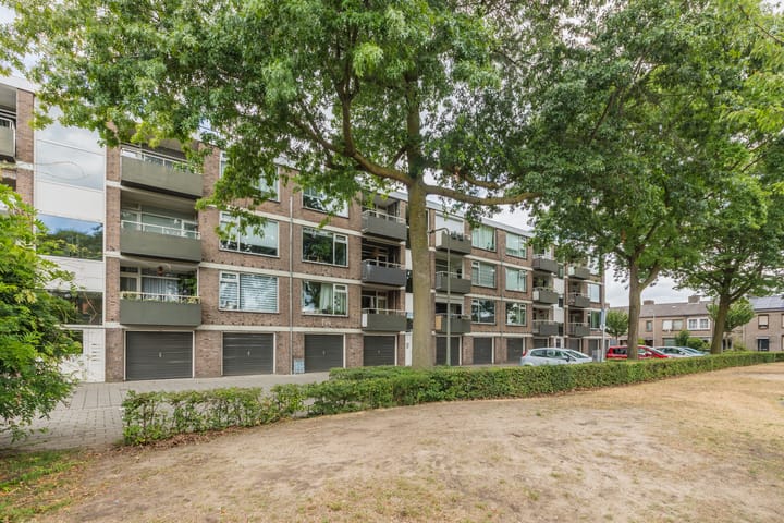 Photo 19 of Burgemeester Ploegmakerslaan 113