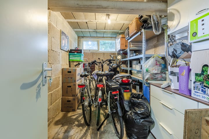 Photo 20 of Burgemeester Ploegmakerslaan 113