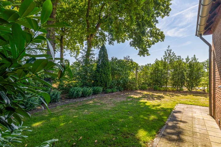 Foto 31 van Schapelsteeg 5