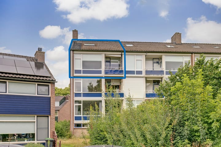 Foto 1 van Vogelplantsoen 171