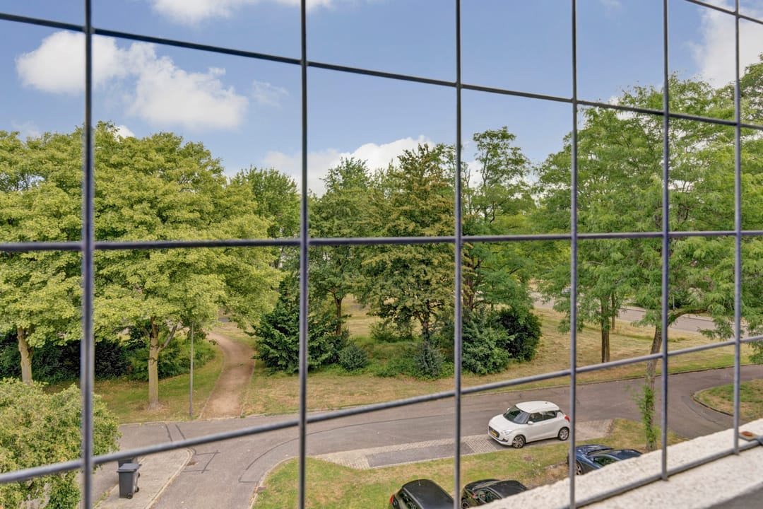 Foto 16 van Vogelplantsoen 171