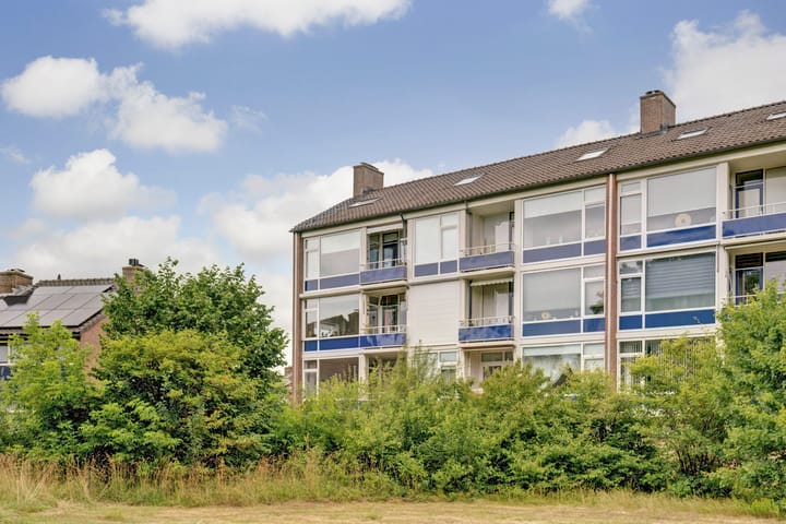 Foto 28 van Vogelplantsoen 171