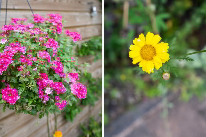 Foto 27 van Achillesstraat 26