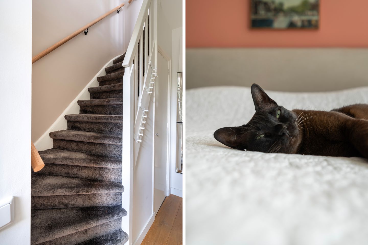 Foto 29 van Achillesstraat 26