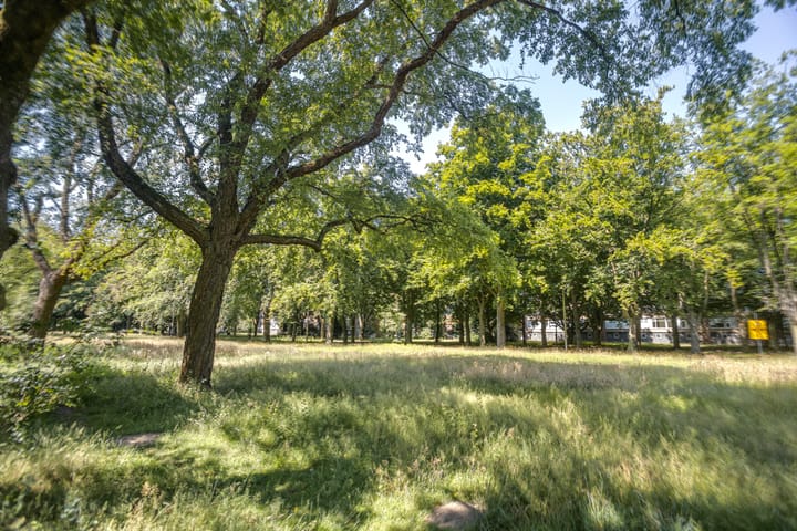 Foto 4 van Europalaan 73