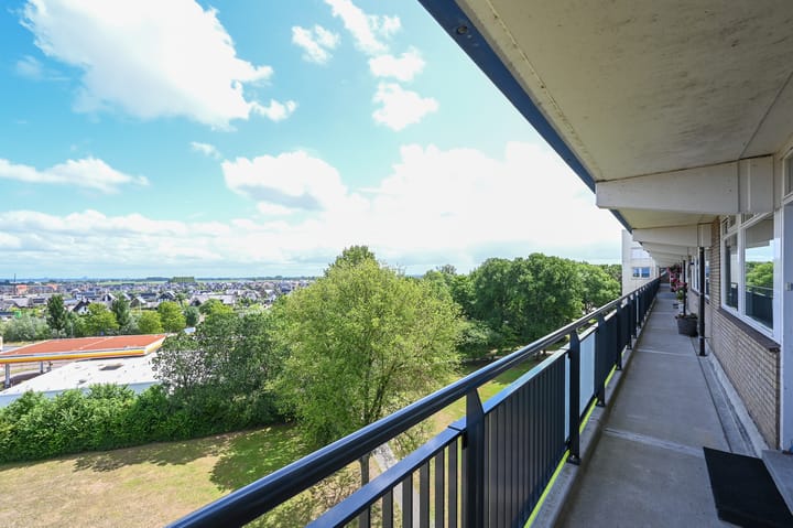 Foto 8 van Buizerdstraat 262