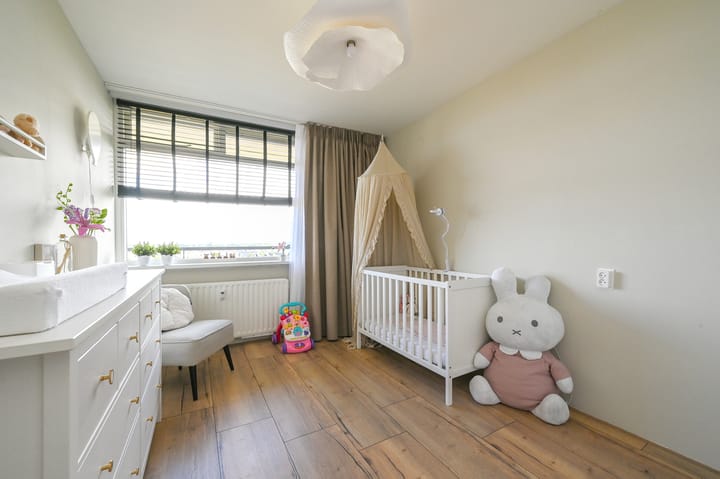 Foto 30 van Buizerdstraat 262