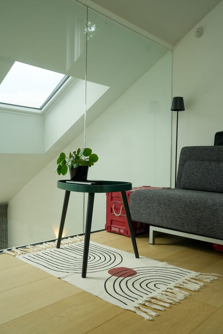 Foto 17 van Rozeboom 50