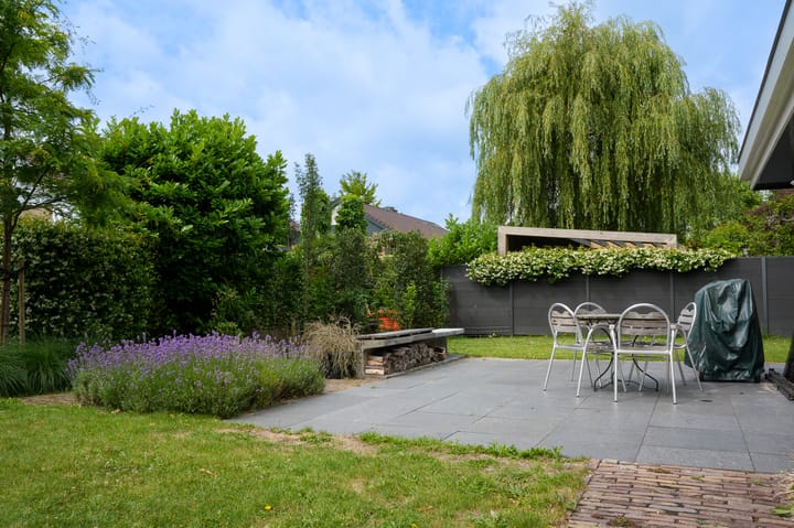 Foto 43 van Rozeboom 50