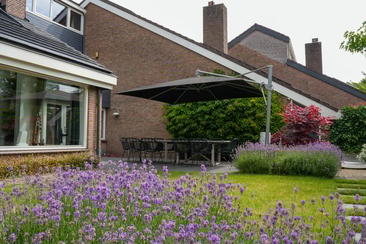 Foto 46 van Rozeboom 50