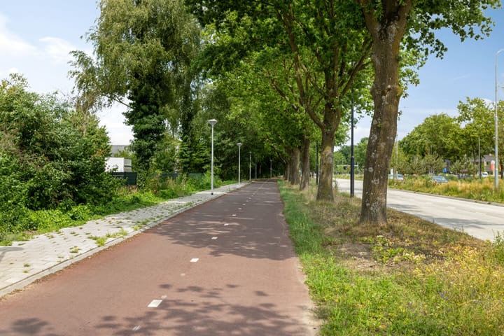 Photo 48 of Boschdijk 878