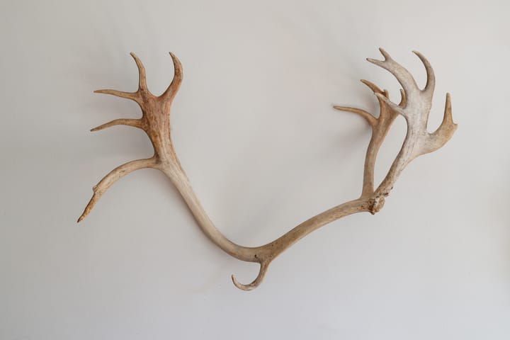 Foto 5 van Fregatstraat 142