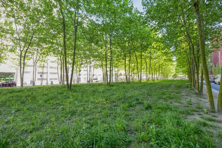 Photo 41 of Torenallee 69-056