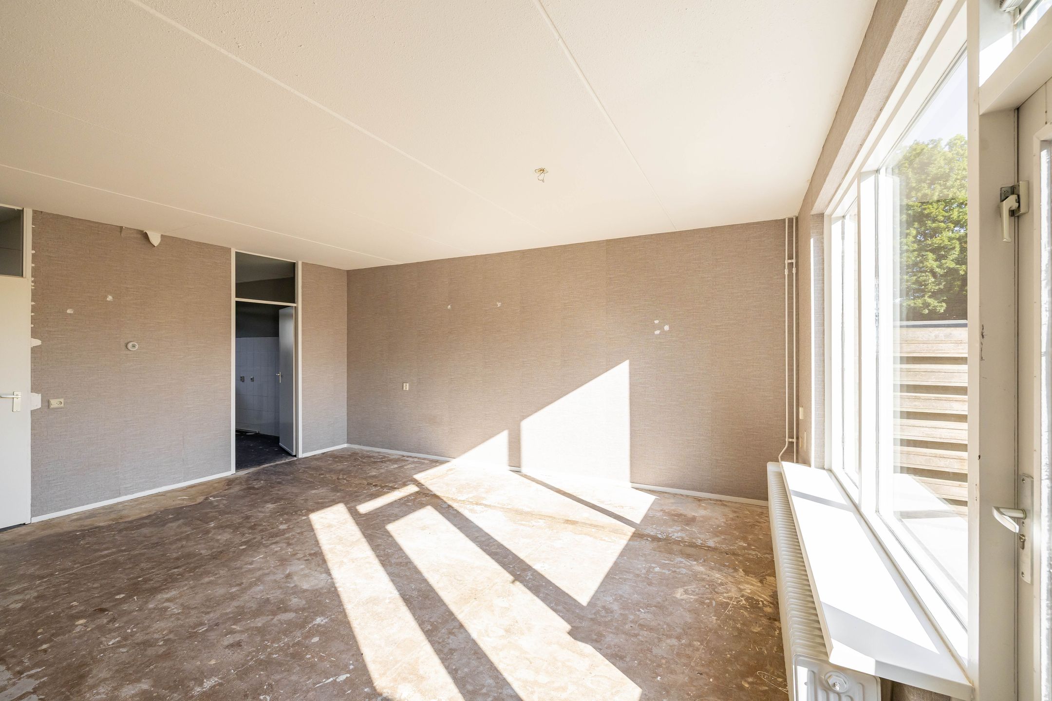 Photo 9 of Schieland 89