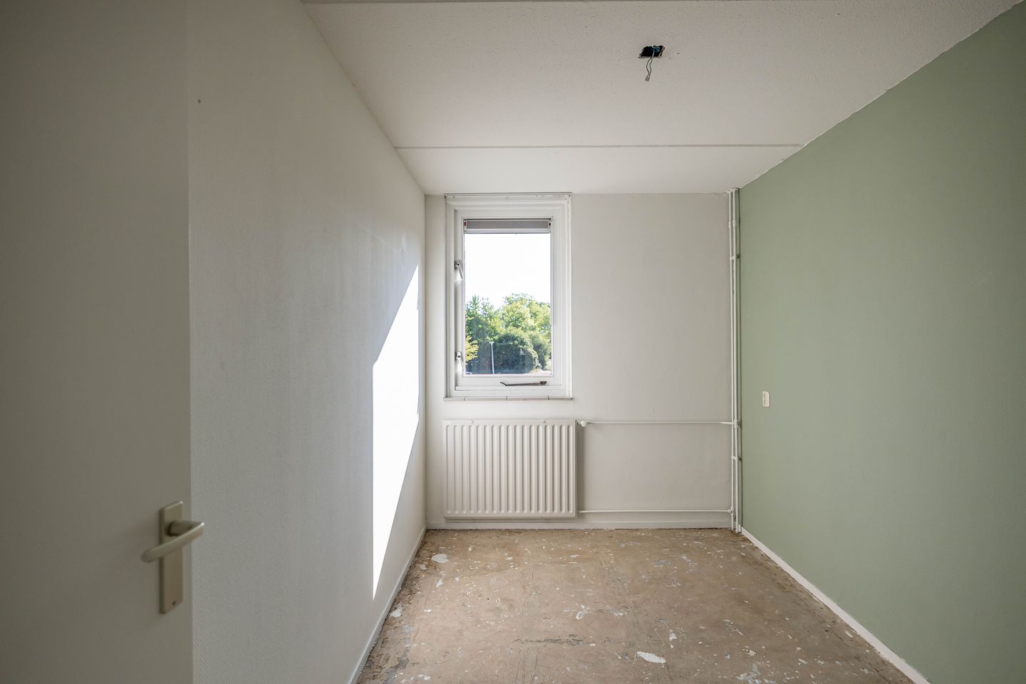 Photo 20 of Schieland 89