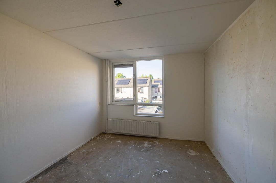 Photo 22 of Schieland 89