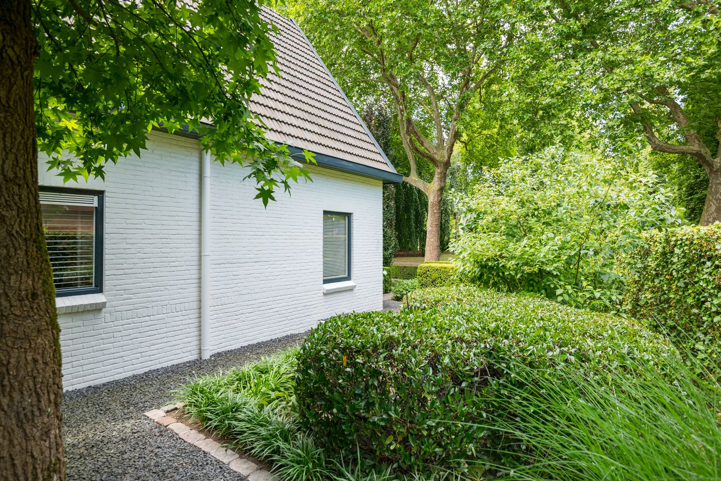 Foto 80 van Loolaan 12