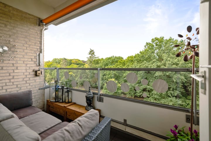 Foto 12 van Laan van Borgele 40-F508