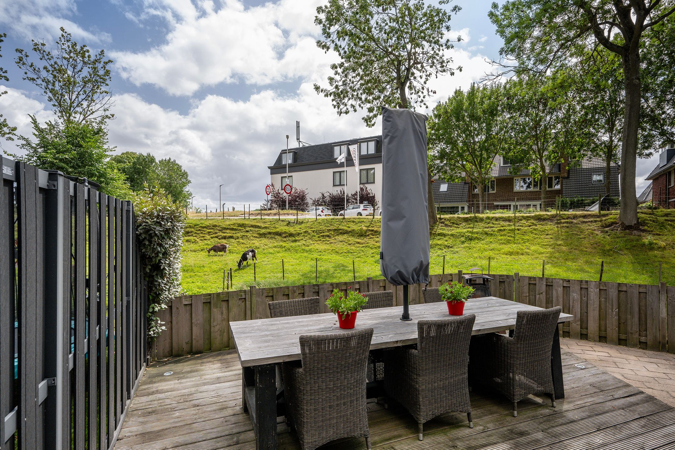 Foto 12 van De Esdoorn 31