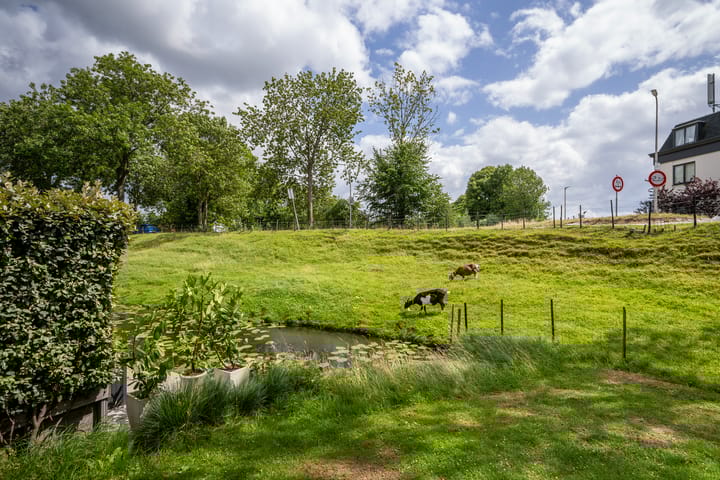 Foto 16 van De Esdoorn 31