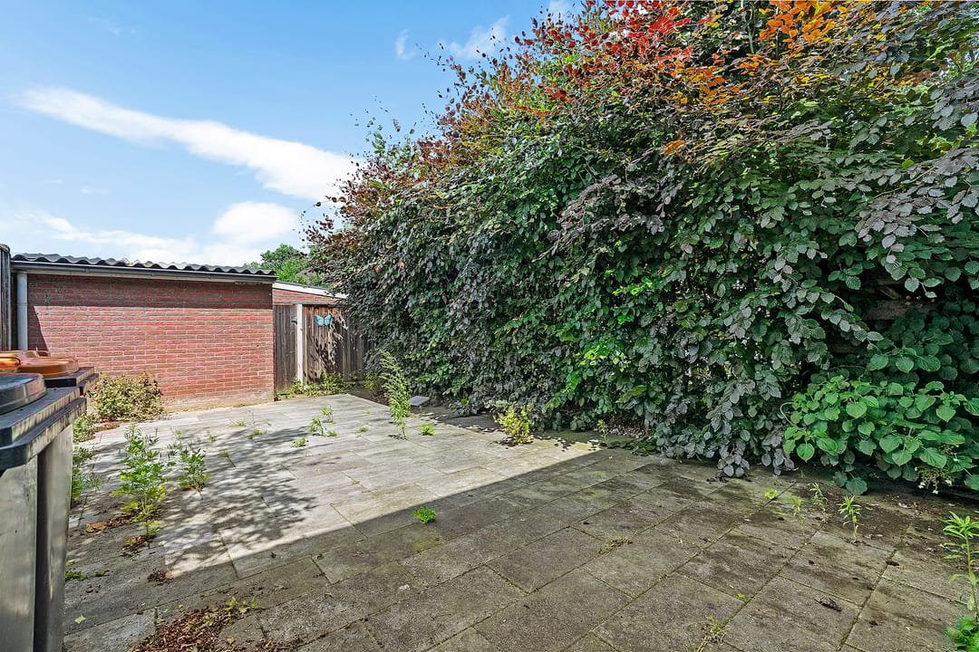 Foto 26 van Zevenblad 59