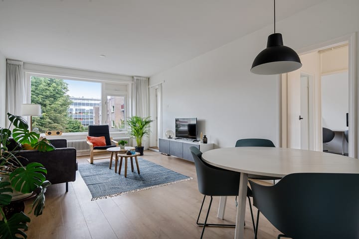 Foto 2 van Plutolaan 118