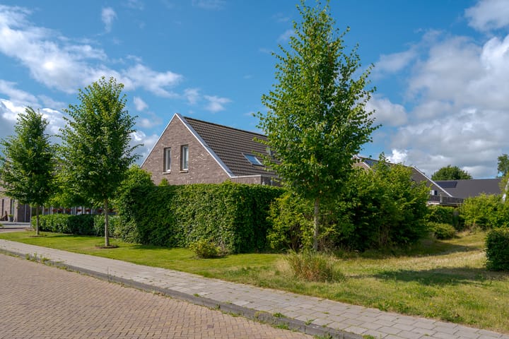 Foto 7 van H. Scheepstrastraat 1