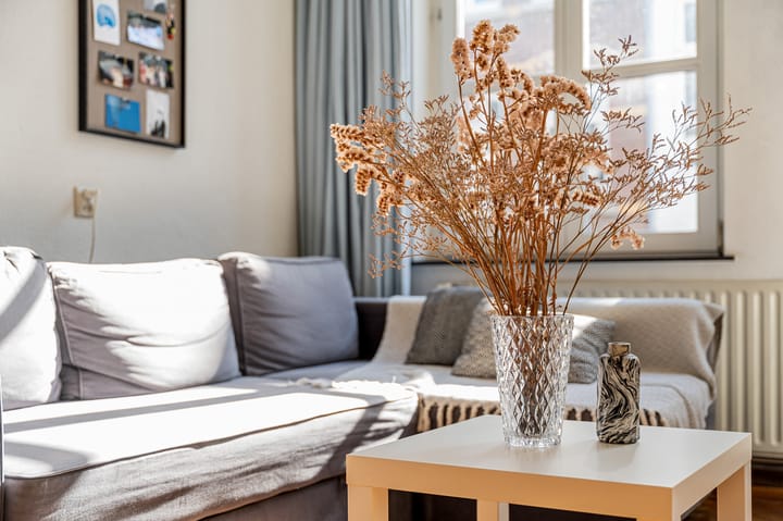 Foto 11 van Brusselsestraat 52