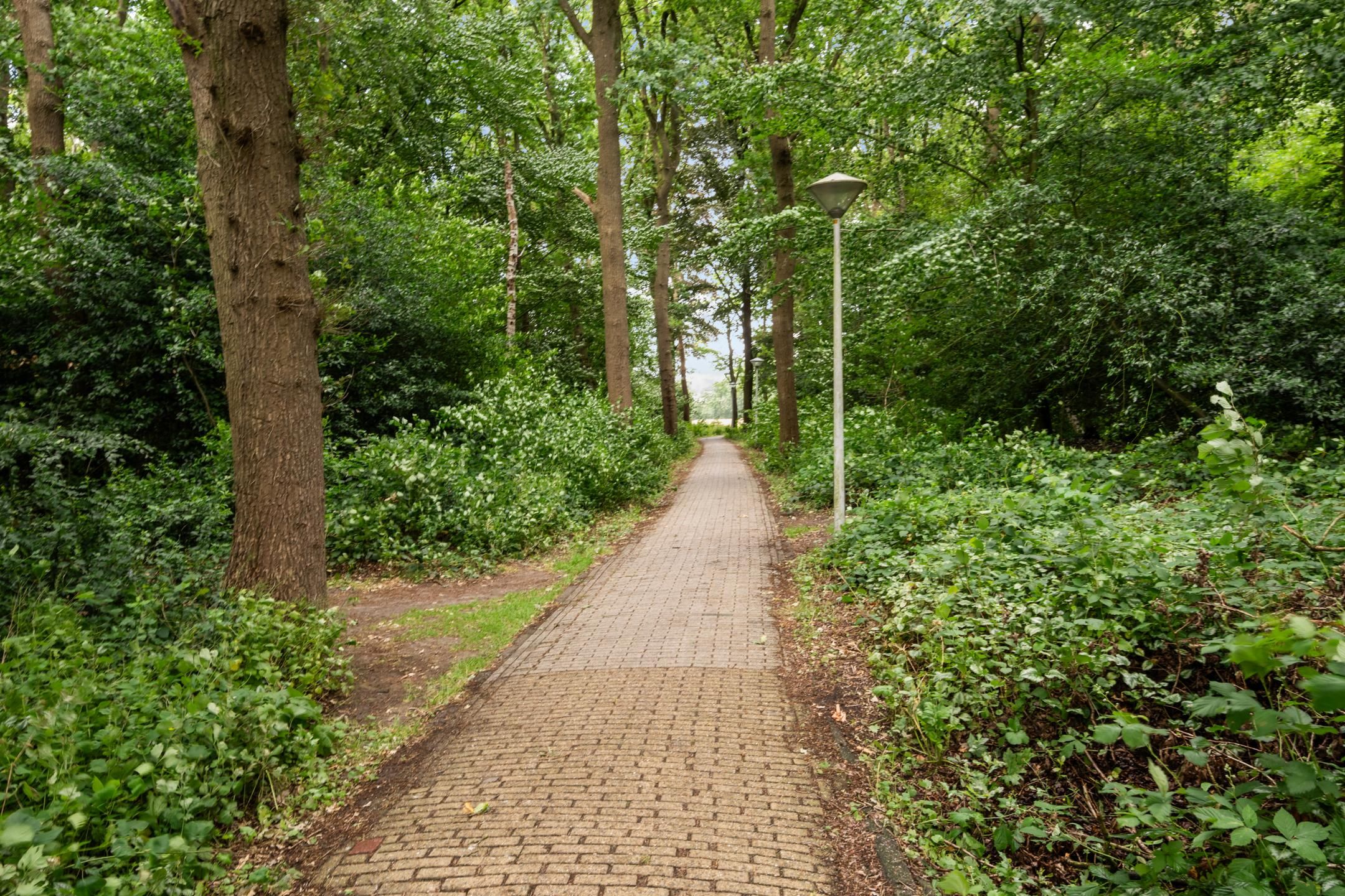 Photo 30 of Oldemaad 15