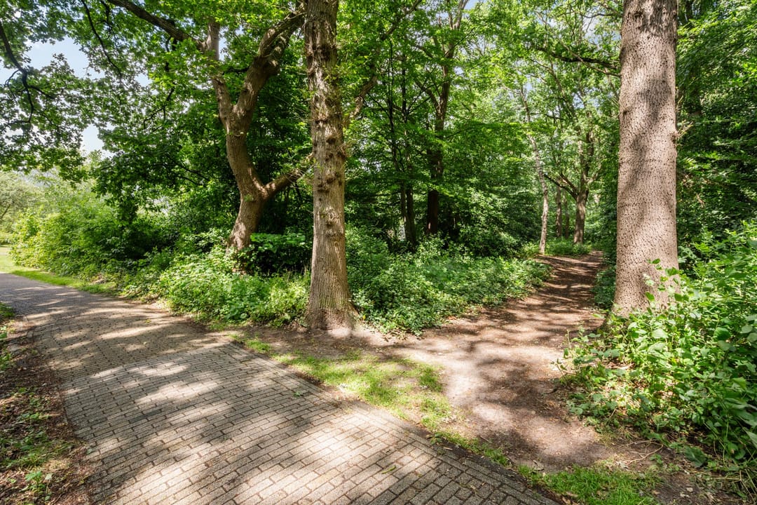 Photo 31 of Oldemaad 15