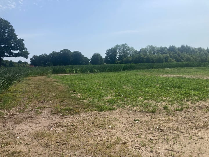 Foto 5 van Oude Postweg